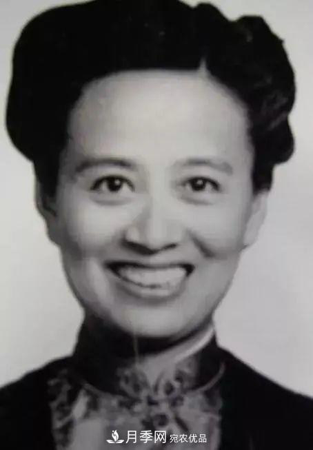 月季夫人蔣恩鈿，是她把月季花種到了人民大會(huì )堂(圖2)