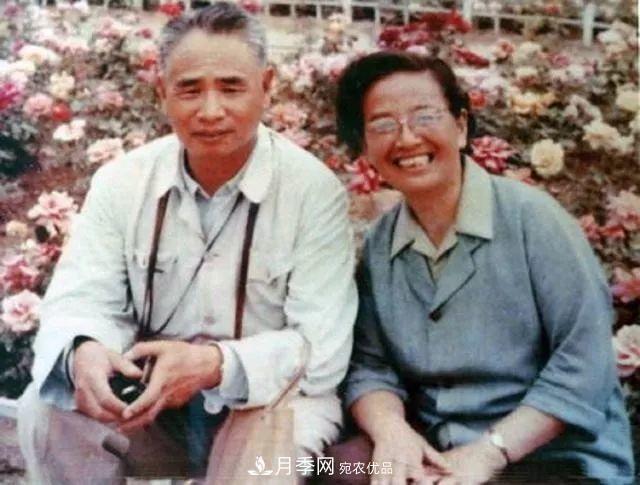 月季夫人蔣恩鈿，是她把月季花種到了人民大會(huì )堂(圖5)