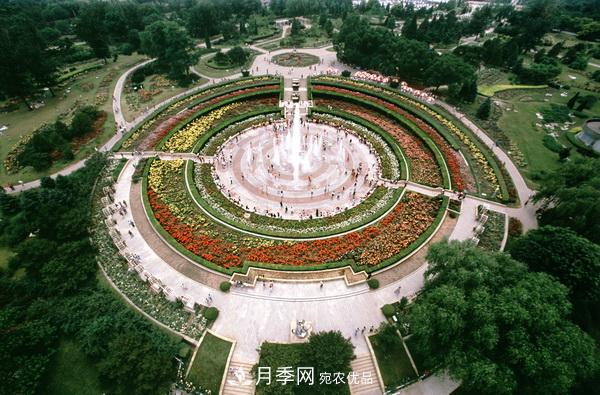中國十大月季園盤(pán)點(diǎn)！賞月季不能錯過(guò)(圖1)