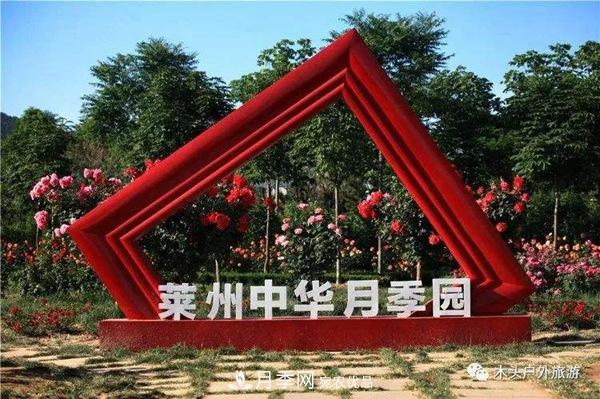 中國十大月季園盤(pán)點(diǎn)！賞月季不能錯過(guò)(圖7)