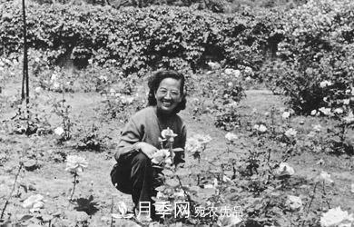 她潛心研究月季，帶領(lǐng)中國月季走向世界，被稱(chēng)為“月季夫人”(圖4)