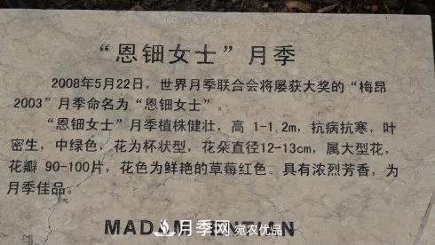 她潛心研究月季，帶領(lǐng)中國月季走向世界，被稱(chēng)為“月季夫人”(圖9)