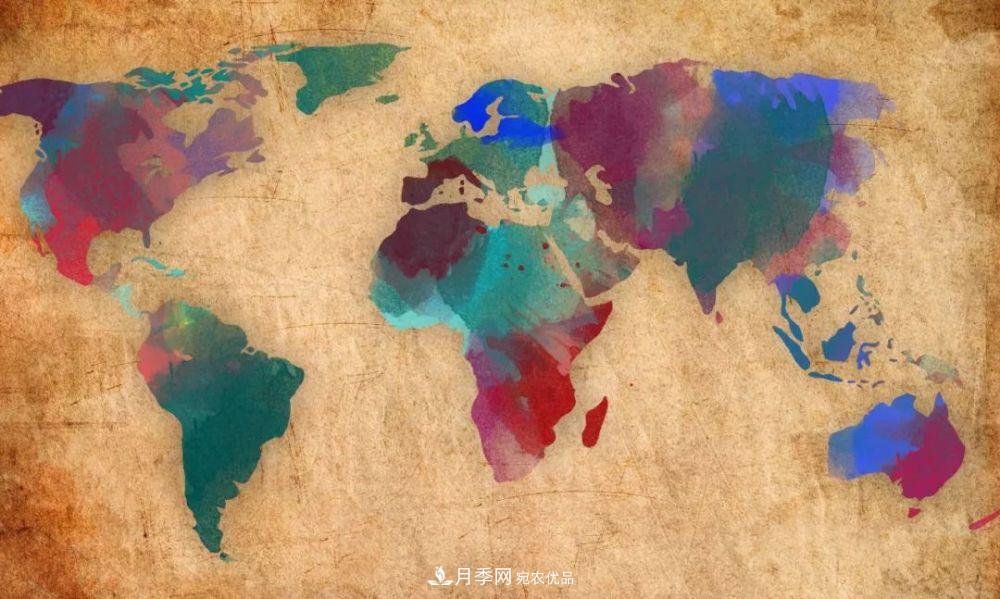 月季的前世今生 | 假如中國月季沒(méi)有傳入歐洲(圖7)