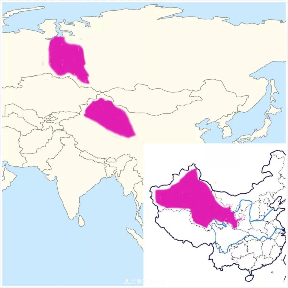 月季的前世今生 | 假如中國月季沒(méi)有傳入歐洲(圖22)