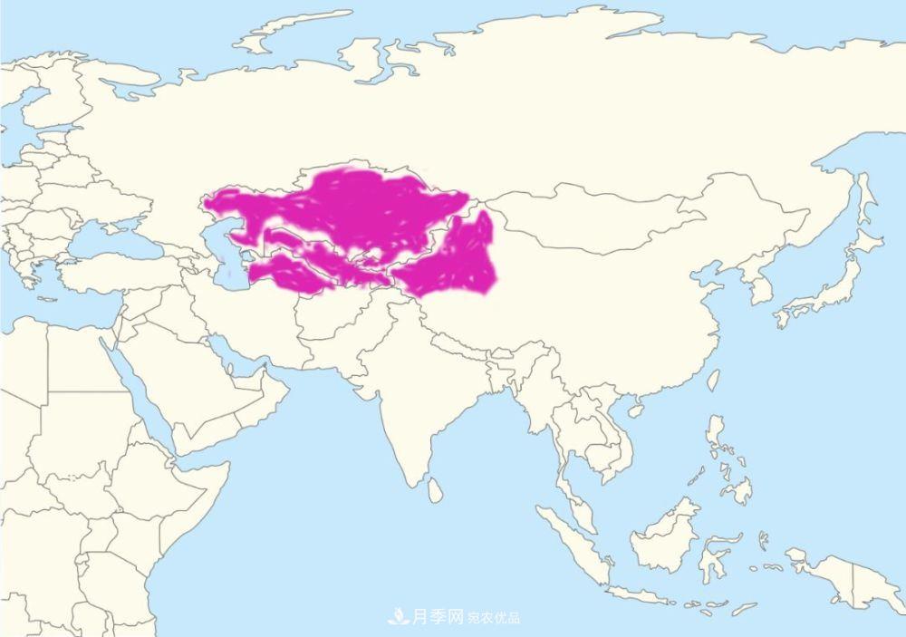 月季的前世今生 | 假如中國月季沒(méi)有傳入歐洲(圖25)