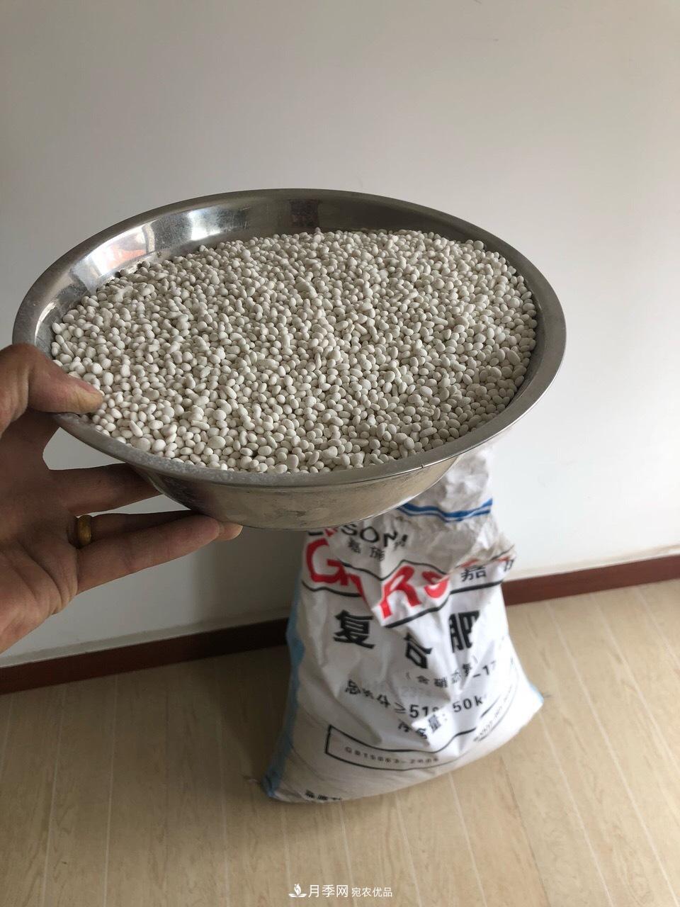 養月季花必備“3種肥”，每月花盆撒一點(diǎn)(圖2)