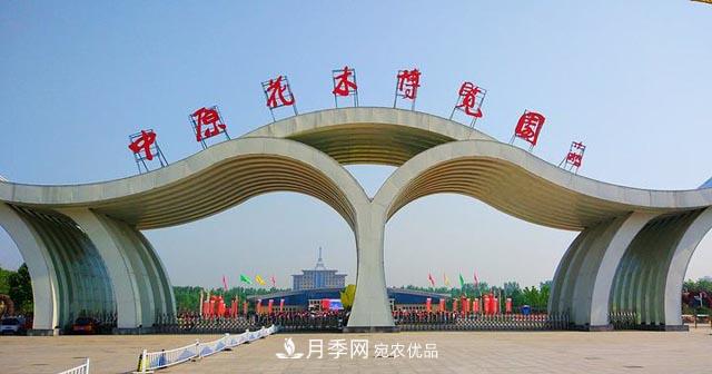 鄢陵：云上2020年中原花木交易博覽會(huì )9月26日開(kāi)幕(圖1)