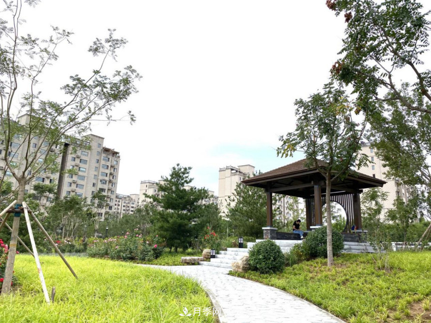 免費，景美，有兒童活動(dòng)區！北京密云月季公園，你去了嗎！(圖3)