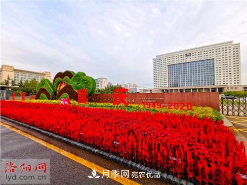 喜迎國慶 160萬(wàn)盆花草扮靚洛陽(yáng)(圖8)