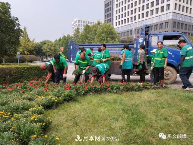 美！6萬(wàn)盆景觀(guān)花卉扮靚鄭州鞏義城區(圖2)