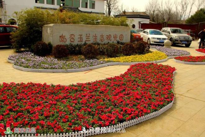 南召玉蘭生態(tài)觀(guān)光園(圖2)