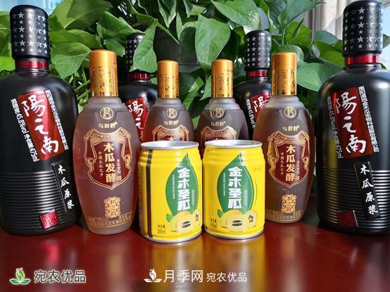 走進(jìn)南陽(yáng)市方城縣柳河鎮金木瓜基地(圖2)