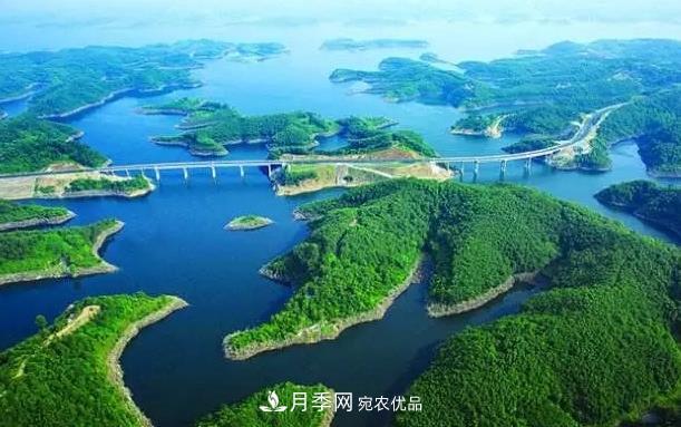 南陽(yáng)淅川“淅有山川”南水北調農產(chǎn)品區域公用品牌解讀(圖2)
