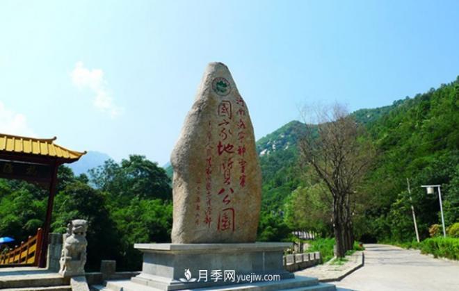 河南五個(gè)綠色“海洋”，在20度的森林中呼吸，讓你流連忘返(圖1)