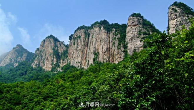 河南五個(gè)綠色“海洋”，在20度的森林中呼吸，讓你流連忘返(圖3)