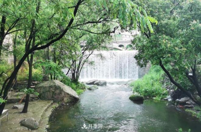 河南五個(gè)綠色“海洋”，在20度的森林中呼吸，讓你流連忘返(圖4)
