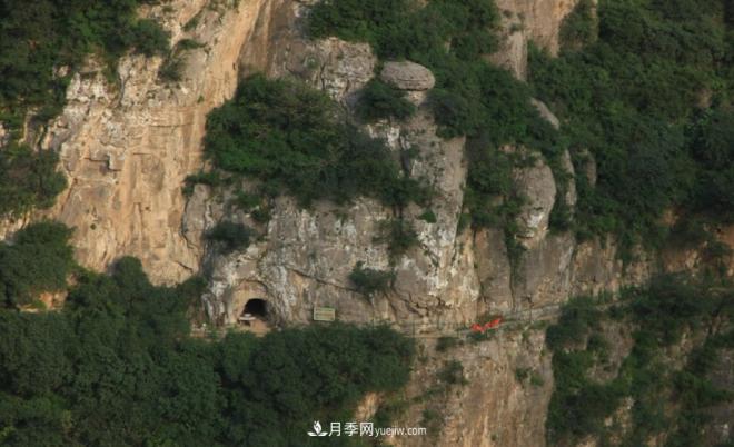 河南五個(gè)綠色“海洋”，在20度的森林中呼吸，讓你流連忘返(圖8)