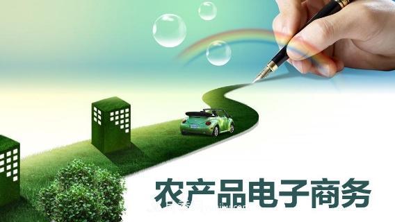 大學(xué)畢業(yè)回鄉創(chuàng  )業(yè)電商 誓把南陽(yáng)農產(chǎn)品推向世界(圖1)