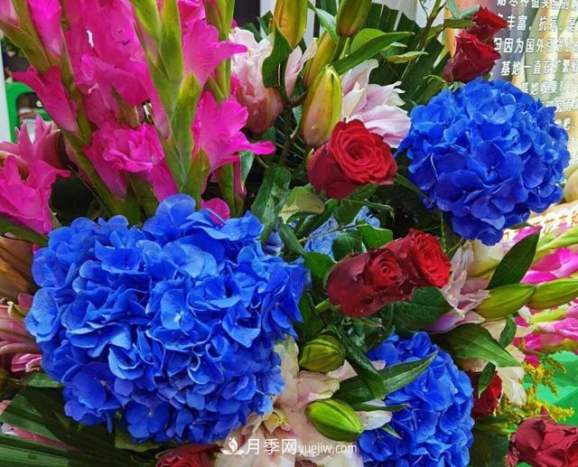 遼寧花卉，合肥斗艷，走進(jìn)2020年中國安徽名優(yōu)農產(chǎn)品交易會(huì )(圖1)