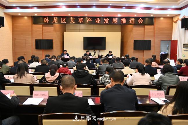 南陽(yáng)市臥龍區召開(kāi)艾草產(chǎn)業(yè)發(fā)展推進(jìn)會(huì )(圖1)