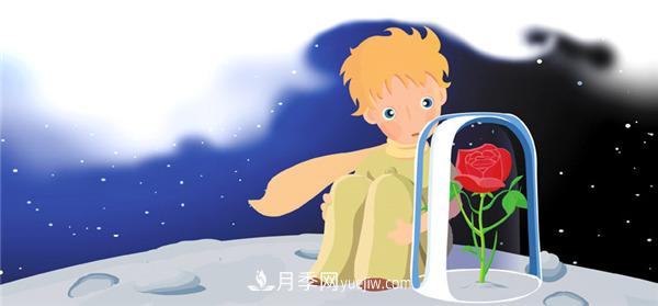 月季為什么是花中皇后？聽(tīng)月季網(wǎng)講故事(圖2)