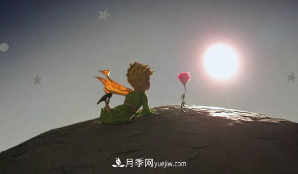 月季為什么是花中皇后？聽(tīng)月季網(wǎng)講故事(圖3)