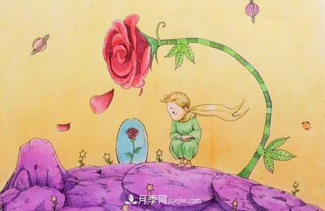 小王子愛(ài)的是“月季花”？(圖3)