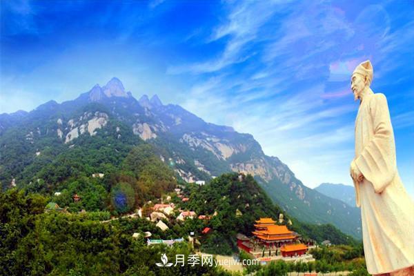一縣一品公益助農，河南南召特色農產(chǎn)品辛夷(圖2)