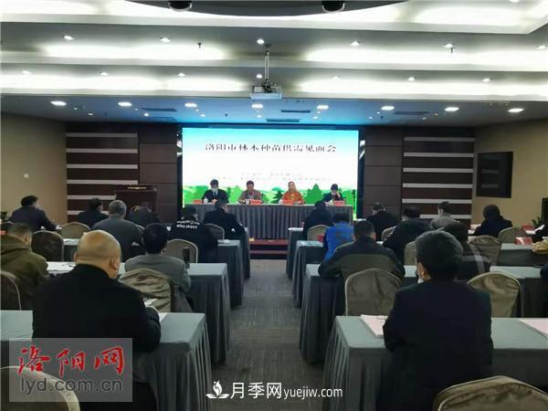 2.2億株！洛陽(yáng)市可供今冬明春國土綠化使用的苗木種類(lèi)齊全(圖1)