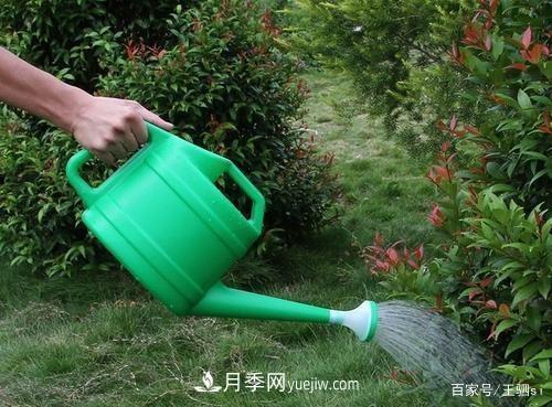 花卉栽培的六大基本工具，你準備好了嗎？(圖2)