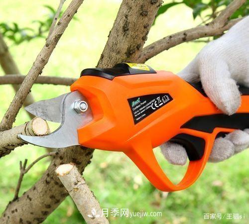 花卉栽培的六大基本工具，你準備好了嗎？(圖4)