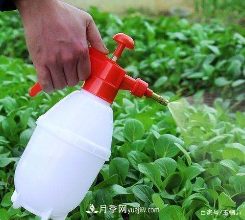 花卉栽培的六大基本工具，你準備好了嗎？(圖3)