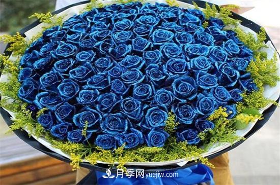 玫瑰花語(yǔ)是什么？盤(pán)點(diǎn)五個(gè)顏色的玫瑰花語(yǔ)(圖2)