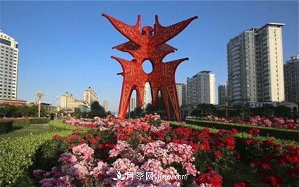 商丘的“市花”和“市樹(shù)”是什么，你能想到了(圖1)