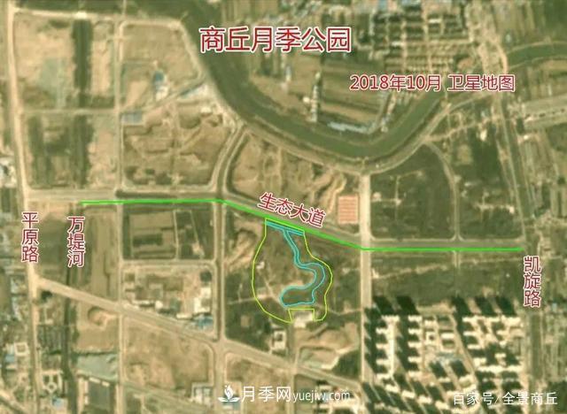 商丘的“市花”和“市樹(shù)”是什么，你能想到了(圖2)