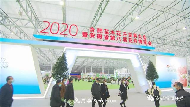2600多種精品苗木花卉亮相2020合肥苗交會(huì )(圖1)