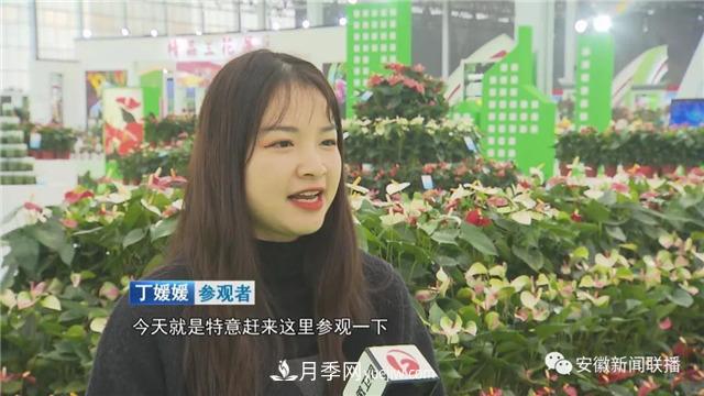 2600多種精品苗木花卉亮相2020合肥苗交會(huì )(圖2)