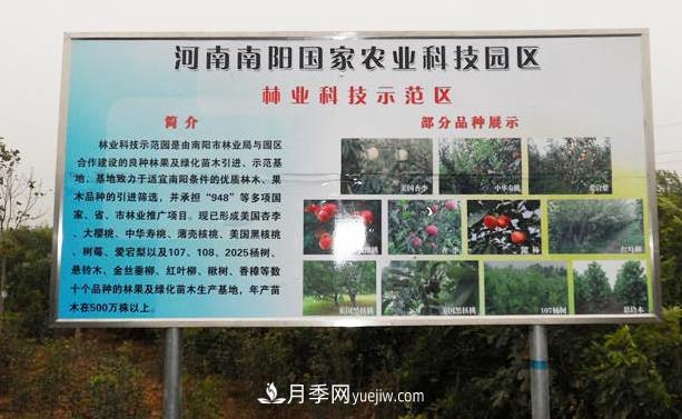 南陽(yáng)國家農業(yè)科技園區介紹(圖1)