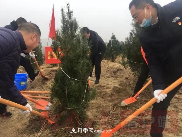 為冬日添新綠！南陽(yáng)市開(kāi)展千人義務(wù)植樹(shù)活動(dòng)(圖1)