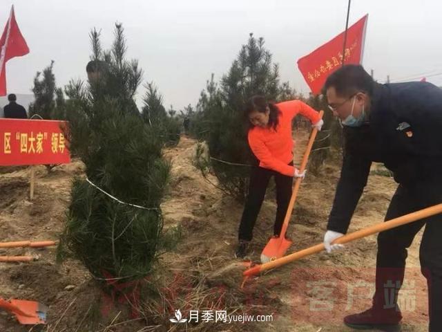 為冬日添新綠！南陽(yáng)市開(kāi)展千人義務(wù)植樹(shù)活動(dòng)(圖2)