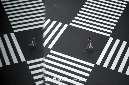 2020年歪果仁選中的年度詞匯，其實(shí)都說(shuō)了一件事(圖3)