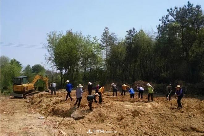 注意，2021年農田5不準：違規罰上萬(wàn)，關(guān)系戶(hù)都沒(méi)用(圖2)