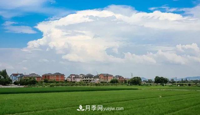 注意，2021年農田5不準：違規罰上萬(wàn)，關(guān)系戶(hù)都沒(méi)用(圖1)