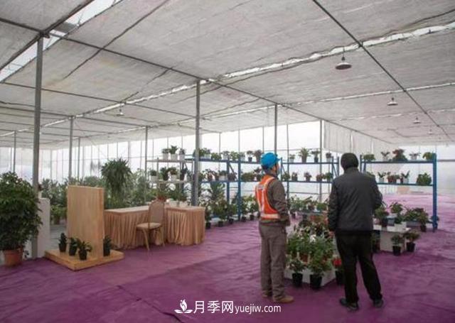 杭州“護花使者”讓苗木健康過(guò)冬(圖1)