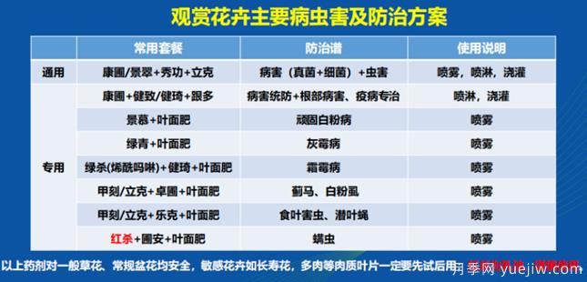 如何提高景觀(guān)花卉高發(fā)蟲(chóng)害的防治效果？(圖1)