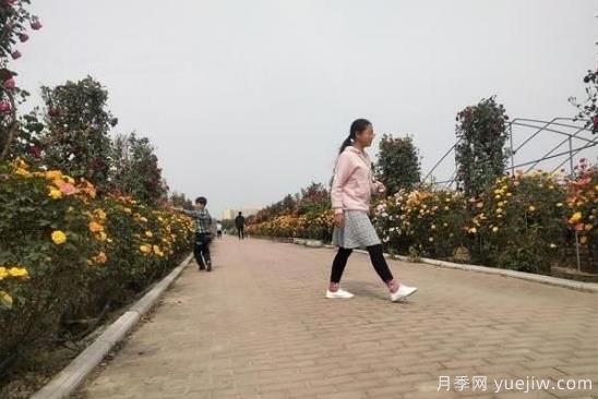 方城博望鎮：花果圍村為村莊按下美顏鍵(圖1)