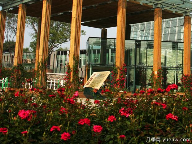 月季名園：沈陽(yáng)世博園玫瑰園(圖1)