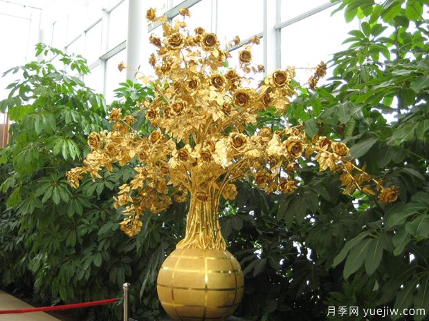 月季名園：沈陽(yáng)世博園玫瑰園(圖2)