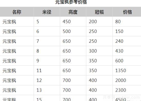 元寶楓的價(jià)格一路上漲，大規格優(yōu)質(zhì)苗一株能賣(mài)上萬(wàn)元(圖1)