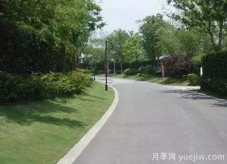 ***全常用草坪品種、優(yōu)點(diǎn)缺點(diǎn)和施工要點(diǎn)(圖16)